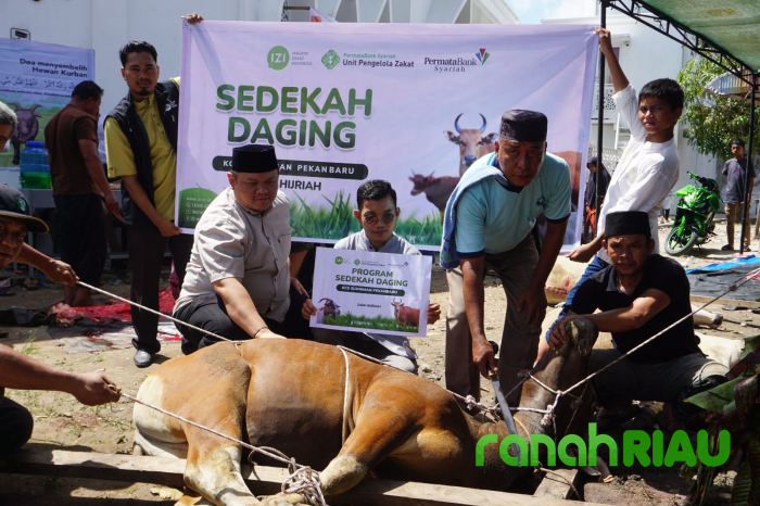 Sambut Hari Raya Idul Adha, UPZDK Permata Bank Syariah salurkan Sedekah Daging bersama IZI Riau