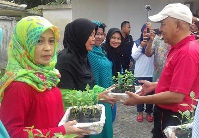 Gubri Luncurkan Gerakan Tanam Cabai Di Pekarangan Rumah