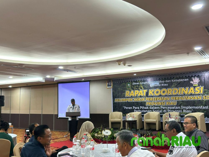 Pemprov Riau Sebut Pelestarian Hutan dan Kesejahteraan Masyarakat Harus diwujudkan Bersamaan