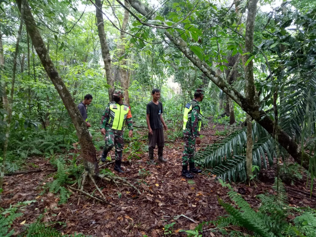 Babinsa Koramil 01 Bengkalis Melaksanakan Patroli Karhutla