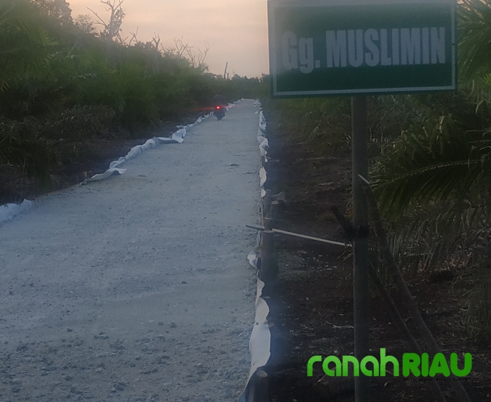 Manfaatkan APBD TA 2020, Diduga Kabid Dinas Perkim Bengkalis Bangun Jalan di Tanah Milik Pribadi