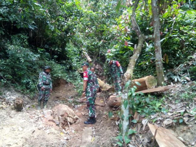 Dansatgas Masuki Hutan, Cek Sisa Kayu Pembuatan Jembatan