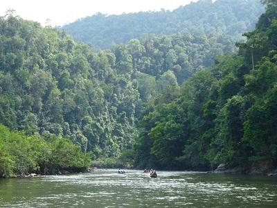 Pemkab Kuansing sampaikan Komitment untuk Mengoptimalkan Pengelolaan Hutan Lindung