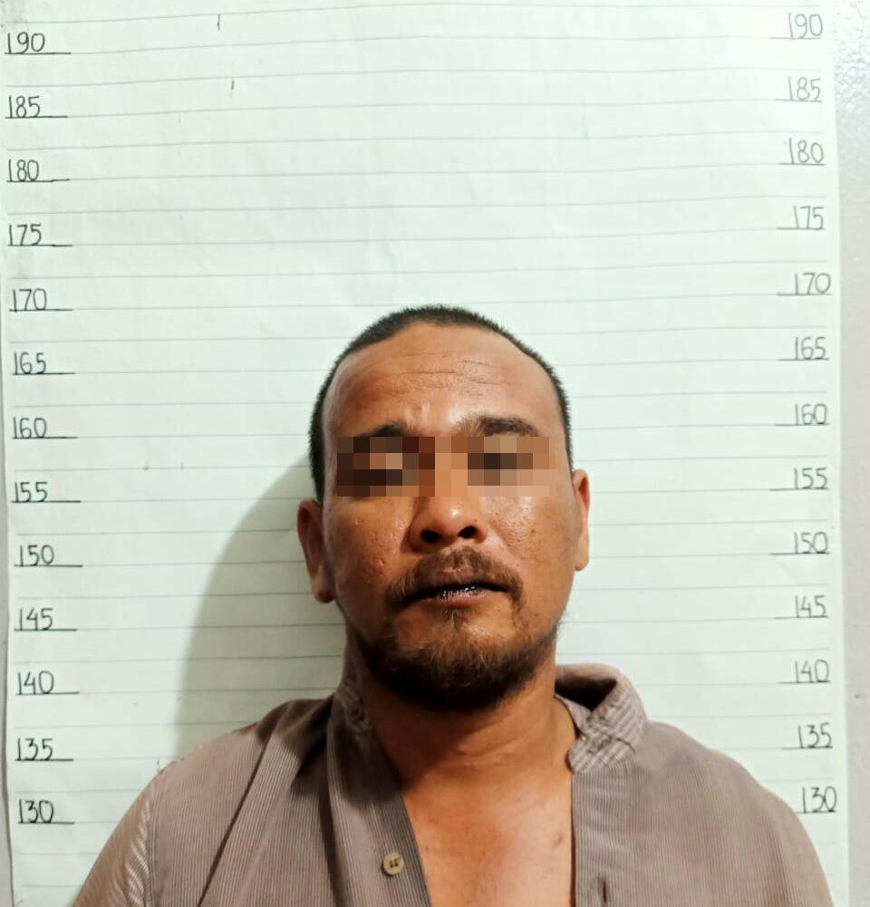 Warga Dumai. Z. Ditangkap Polsek Mandau di Duri, Ketahuan 400 Gram Duan Ganja