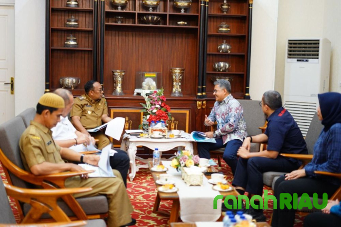 RS Awal Bros di Tenayan Raya Pekanbaru, Sinergitas antara Pemerintah dan Swasta