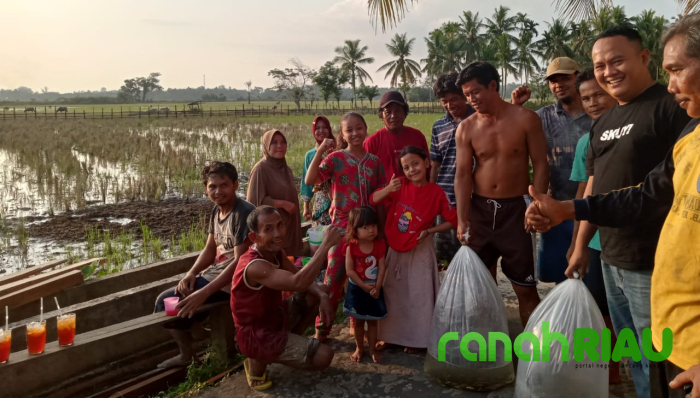 Oky Nanda Putra, SH., MH., Salurkan 2000 Ekor Benih Ikan Mas Kepada Masyarakat Kinali