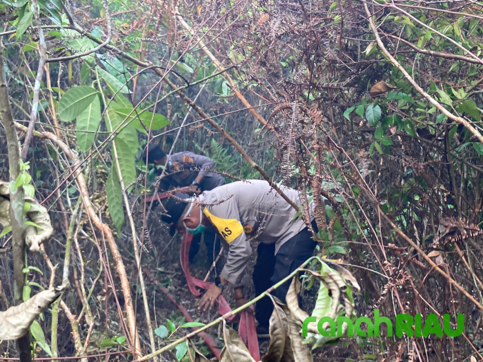 Api Mengintai Kampar: Aksi Cepat 32 Personel Gabungan Gagalkan Bencana Asap Riau