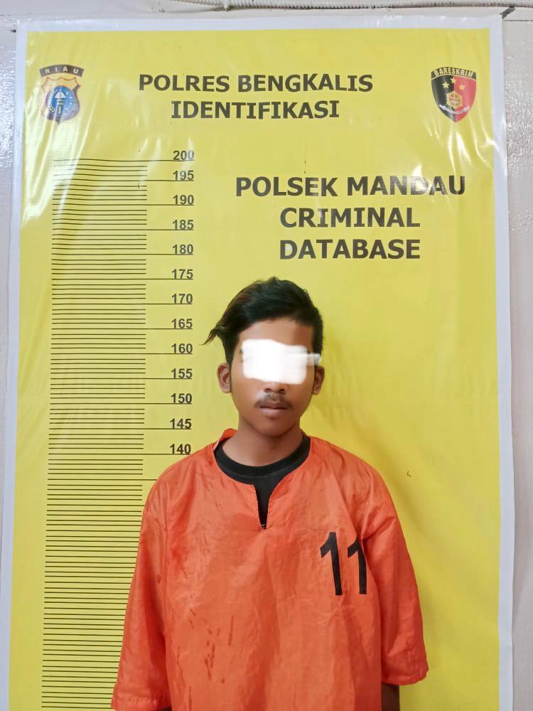 Diduga Mencuri Racun, Polsek Mandau Tangkap RN Seorang Warga Duri
