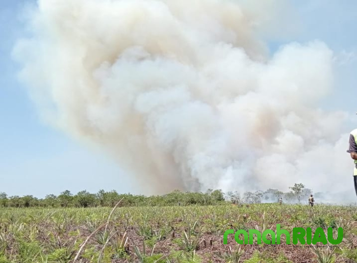 Tanggapi Lonjakan Api di Provinsi Riau, Walikota Pekanbaru pimpin Apel Siaga Karhutla