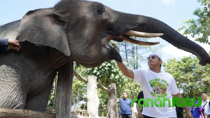 Sempat Jadi Misteri, Tari Anak angkat Kesayangan Kapolda Riau mati karena Ini