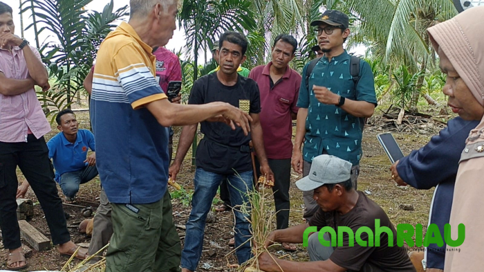 Tingkatkan Ekonomi warga Desa Teluk Kuala Kampar, WALHI Fasilitasi metode Pertanian Alami