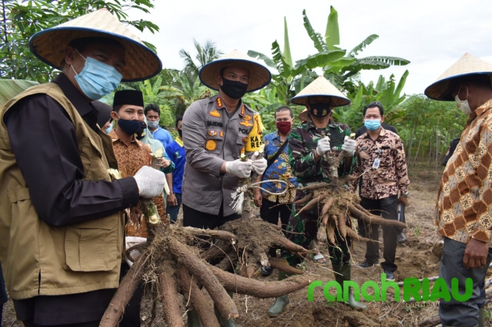  Kapolresta Pekanbaru, Walikota Pekanbaru, Dandim 0301 Pekanbaru Resmikan Kampung Tangguh Pekanbaru