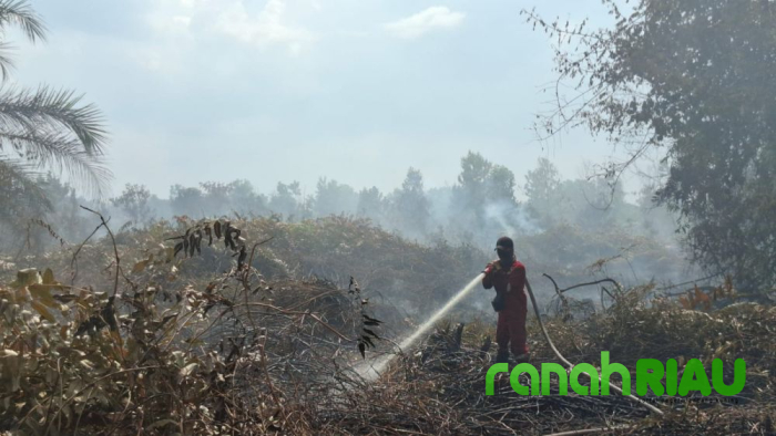 Polres Inhu ringkus Pelaku Pembakaran Lahan di Kuala Cenaku