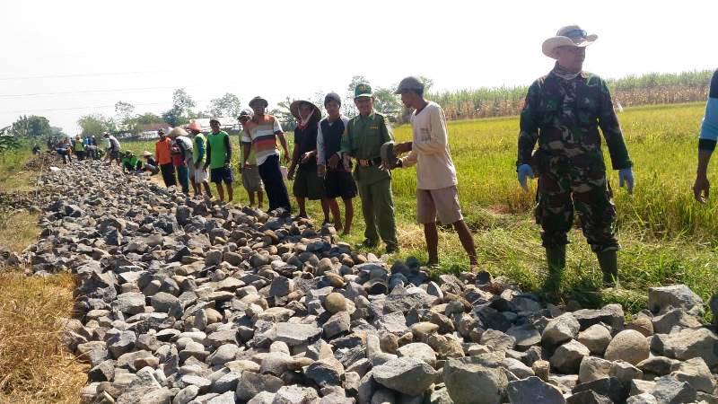 Berjejer,  Disiplin Bangun Makadam Jalan Pertanian