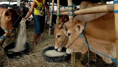 Distanak Pekanbaru semakin gencar lakukan Sosialiasi Hewan Qurban