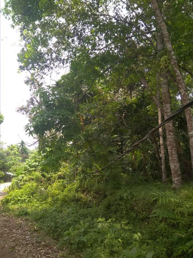 AWAS!!! Kabel Listrik Banyak Menjuntai