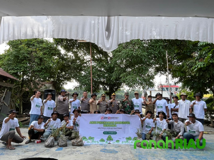 Kolaborasi Hijau di Sungai Siak: 5.000 Mangrove Ditanam, Investasi Lingkungan untuk Masa Depan