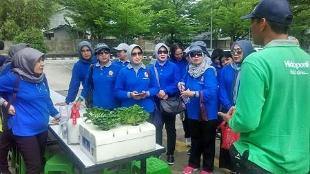 Wahhh Seru Bener Nih... DWP Bakamla RI Asyik Tanam Hidroponik