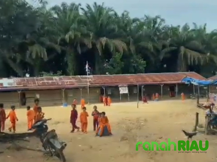 SDN 003 Lubuk Kebun yang Viral, Ternyata Dalam Kawasan Hutan Lindung
