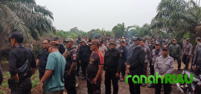 Konflik Lahan Pulau Muda Memanas, Warga Sebut PT THIP Kerahkan 300 Orang