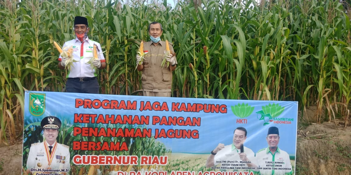 Panen Jagung di Palas, Gubri : Riau Kini Menuju Swasembada Pangan