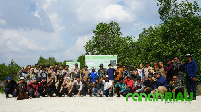 Pemda digaet sebagai Mitra Kerja, Program Rehabilitasi Mangrove sebatas Sosialisasi? 