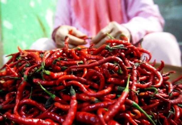 Pekanbaru Mampu Penuhi 30 Persen Kebutuhan Bawang Merah dan 70 Persen Cabai