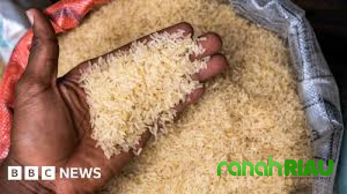30 Warga Nigeria Tewas saat Rebutan Makanan Bansos