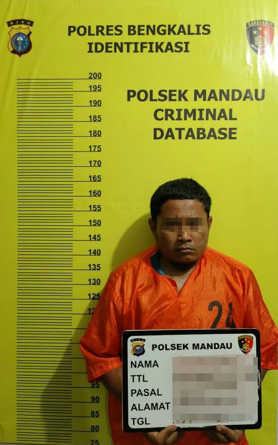 Polsek Mandau Tangkap Satu Orang Pencuri Sepeda Motor di Duri 13