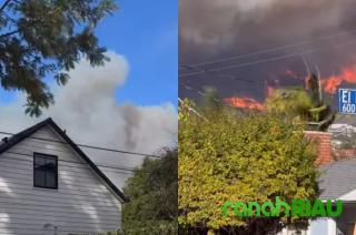 Tak Mengira jadi Awal Kebakaran Los Angeles, Kesaksian Warga Saat Palisades Fire Muncul di Bukit