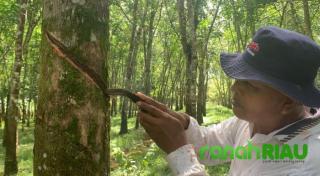 Anak Buruh Penderes Karet di Kuansing Lulus Menjadi Anggota Polri