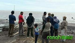 Tenaga Ahli MENLHK : Program PEN-PKM Desa Muntai Barat Yang Terbaik di Indonesia