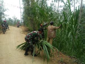 Satgas TMMD Cari Rumput Gajah Untuk Pakan Ternak Paijah