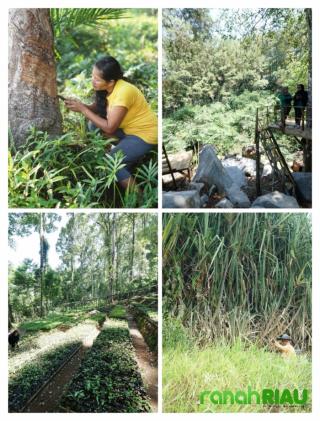 Kemitraan Konservasi: Pemimpin adalah kunci