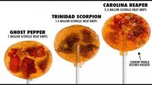 Wooww... Carolina reaper dinobatkan jadi cabe terpedas sedunia