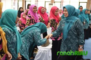 Ketua TP PKK Kepri hadiri Workshop Pelayanan kader Posyandu terpadu di Tanjung Pinang