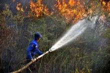Kebakaran Lahan di Dumai Mulai Terjadi