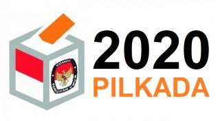 DPW PAN Riau Sedang Proses Bentuk Tim Pilkada 2020