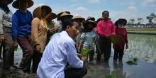 Negara punya SDA yang luar biasa, Jokowi : ada banyak potensi besar disana
