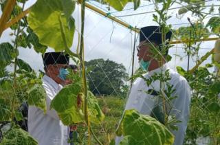 Bupati Rohil : Lahan 3 Hektare Akan Dijakdikan Icon Baru Di MTQ 2021