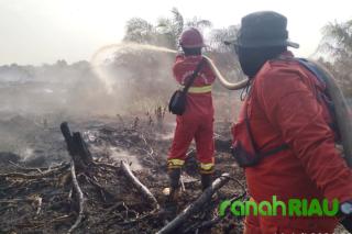 FKPMR Desak Pemerintah Riau Perkuat Kewaspadaan Hadapi Ancaman El Nino dan Karhutla