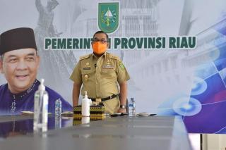 Dibuka Wagubri, Webinar Bahas Perkebunan Untuk Kesejahteraan Masyarakat Riau