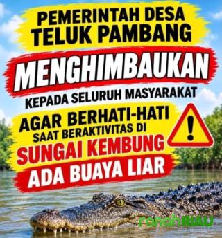 Warga Teluk Pambang Diminta Waspada, Buaya Liar Berkeliaran di Sungai Kembung