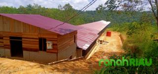 Waduh, Oknum Pejabat Kuansing Dirikan Kandang Ayam Berskala Besar di kawasan Hutan Lindung