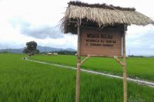 Wisata Halal Dorong Peningkatan Ekonomi Islam