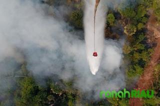 Karhutla Dumai Berhasil Dipadamkan, Tim Masih Siaga Antisipasi Asap Lahan Gambut