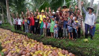Petani Sejahtera Bila Produktivitas Kelapa di Inhil Dimaksimalkan Secara Merata