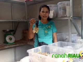 Miris! Pedagang Korban Kebakaran Pasar Kalideres Mulai Berjualan Di Tempat Penampungan