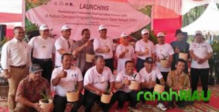 Gubernur Riau hadir dalam Launching program GAP di Siak