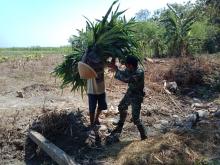1 Ha Lahan Sawah Menghasilkan 8 Ton